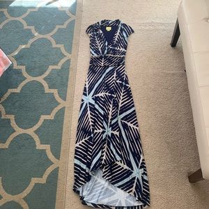 Anthropologie Blue and White Maxi Dress